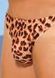 Mens Leopard Print Thong (Leopard;Men's One Size)