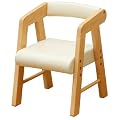 �l�C�L�b�Y PVC�`�F�A (�I�t��) KDC-2401 �A�C�{���[