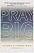 Pray Big: The Power of Pinpoint Prayer