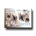 Keeshond Dishwasher Magnet