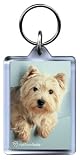 Ralph - Westie Keyring by Rachael Hale