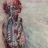 FEAR AND THE NERVOUS SYSTEM