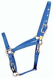 Hamilton 8DAS SMBY 3/4-Inch Nylon Arabian Horse Halter for 500 to 800-Pound Horse, with Adjustable Chin and Throat Snap, Berry Blue