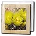Barrel Cactus flowers.(Ferocactus acanthodes).Anza-Borrego Desert State Park, California - 6 Inch Tile Napkin Holder