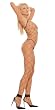 Spaghetti Strapped Fence Net Body Stocking