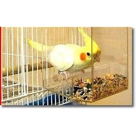 Tidy Bird No-Mess Bird Feeder by avianweb