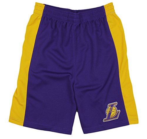 Los Angeles Lakers NBA Little Boys and Big Boys Team Shorts - Purple