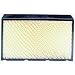 Essick Air Products 1041 Humidifier Wick Filter