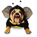 Zelda Bee Costume - Pet Costume