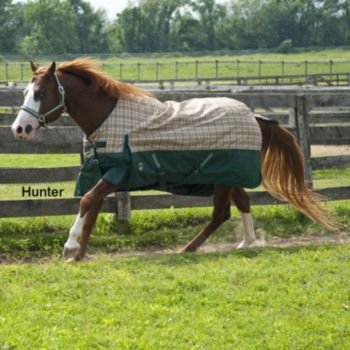 Defender Classic Plaid 600D Turnout Sheet 75In Cho