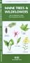 Maine Trees & Wildflowers: An Introduction to Familiar Species (State Nature Guides)