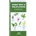 Maine Trees & Wildflowers: An Introduction to Familiar Species (State Nature Guides)