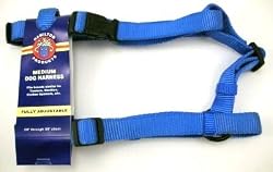 Hamilton 3/4" Nylon Adjustable Comfort Dog Harness, Blue, Medium (20"-30" chest)