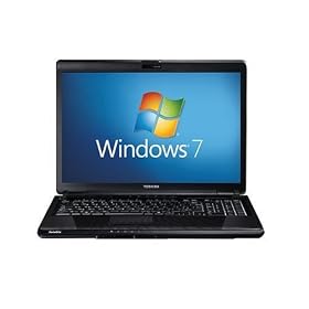 Toshiba Satellite L350-214 17-Inch Notebook
