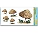 Tiki Umbrellas Peel 'N Place Wall Decorations Adult