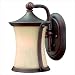 Hinkley Lighting 1286VZ Thistledown 10