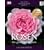 Rosen - Die gro�e Enzyklop�die: Mit 2000 Sorten