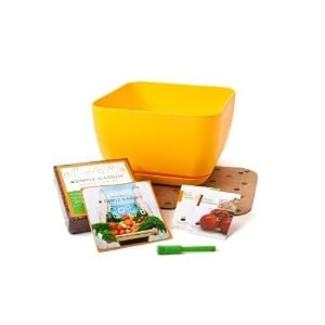 Fertile Earth SGS6Y Yellow Simple Garden Square Foot Starter Pack