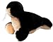 Kitchen & Housewares : Pet Supply Imports - Talking Seal Soft Plush Dog Toy 8"