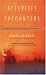 Afterlife Encounters: Ordinary People, Extraordinary Experiences