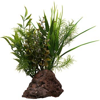 RockGarden Lava Rock Aquarium Plant