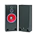 BIC AMERICA RTR-1530 15-Inch 3-Way Floor Standing Speaker (BIC AMERICA RTR1530)