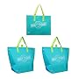 Insulated Reusable Tote Bags, Aqua Color 3 Pack