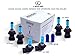 LEXUS IS200 (1999-2005) XENON HID HB4,HB3,W5W BULBS