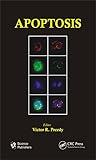 Apoptosis