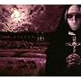 SISTER(��������)(DVD�t)