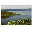 Cultivation on the Shores of Lake Kivu, Rwanda Photographic Poster Print by Ariadne Van Zandbergen, 56x42