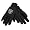 Oakland Raiders