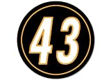 Round 43 Troy Polamalu (Steelers Colors) Sticker