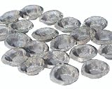 VAPIR NO2 MESH SCREENS - 20 PACK