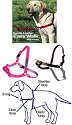 Easy Walk Harness - Hot Pink Medium