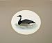 1860 Hand Coloured Print Brent Goose Bird Lake Scene