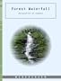 Forest Waterfall - Relaxation on Demand - DVD