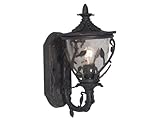 IMAGE OF Kenroy Home 70201AP Meadow Small Wall Lantern with Clear Seeded Glass Shade, Antique Patina