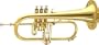 Amati AFH 601I-O Series Bb Flugelhorn (Standard)