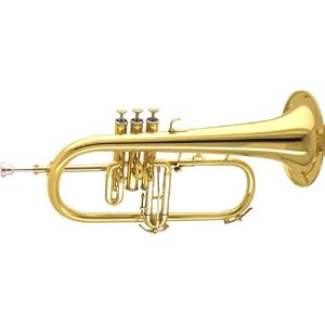 Amati AFH 601I-O Series Bb Flugelhorn (Standard) by