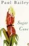 Sugar cane