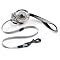 Must-haves for a Labrador Retriever