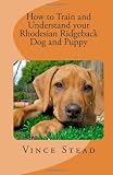 How to Train and Understand your Rhodesian Ridgeback Dog and Puppy