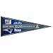 Super Bowl XLVI Pennant (1 per package)