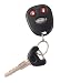 Audiovox PRO9644A Pursuit Programmable Remote Alarm