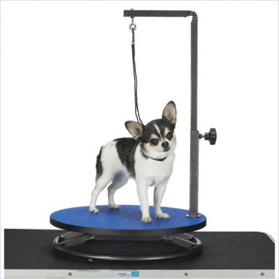 Master Equipment Small Pet Grooming table, purple