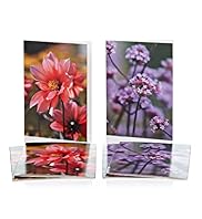 Floral Blank Multipack Cards