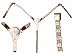 Sporting Goods : Engraved Silver Ferruled Western Show Breast Collar