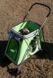 VIPoochy Village Pet Stroller-Pistachio