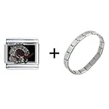 Nba Toronto Raptors Italian Charm Bracelet